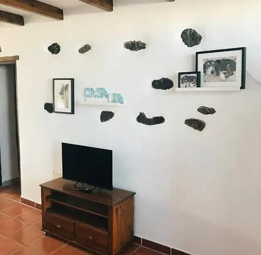 Coqueto En El Cuchillo